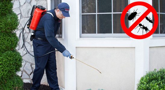 Beypazarı Haşere İlaçlama böcek ilaçlama ve haşere kontrolü — ilaclama-tr.com